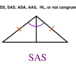 30 Sss Sas Asa Aas Worksheet Education Template