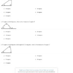 4 2 Skills Practice Angles Of Triangles Worksheet Answers Db excel