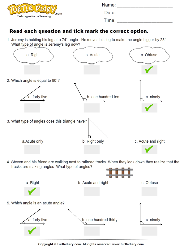 Angle Classification Worksheet Turtle Diary