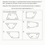 Angles On A Straight Line Worksheet Db excel