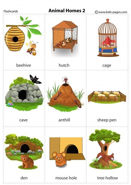 Animal Homes Clipart 20 Free Cliparts Download Images On Clipground 2022