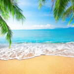 Characteristics Of The Beach According To Experts DeepOceanFacts