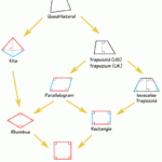 Classifying Quadrilaterals Geometric Figures