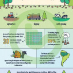 Deforestation Infographic Poster Teaching Resource Teach Starter