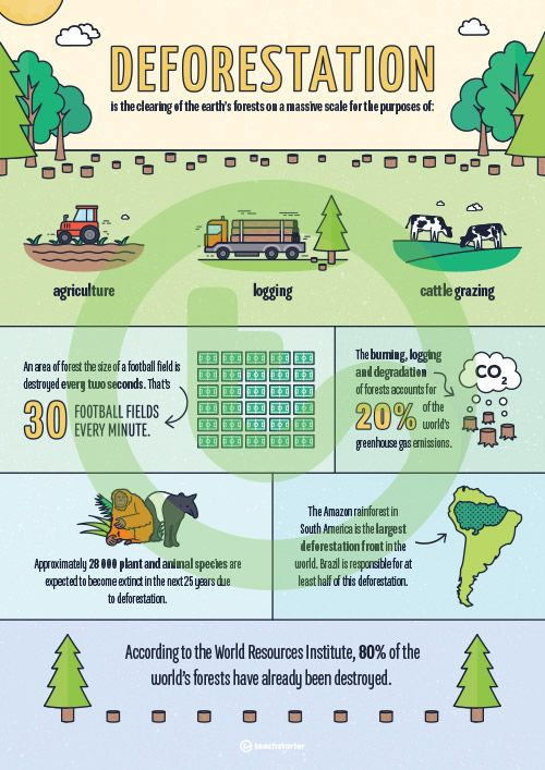 Deforestation Infographic Poster Teaching Resource Teach Starter 