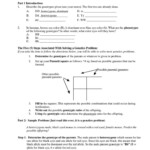 Genetics Worksheet Answer Key Genetics Practice Problems Worksheets