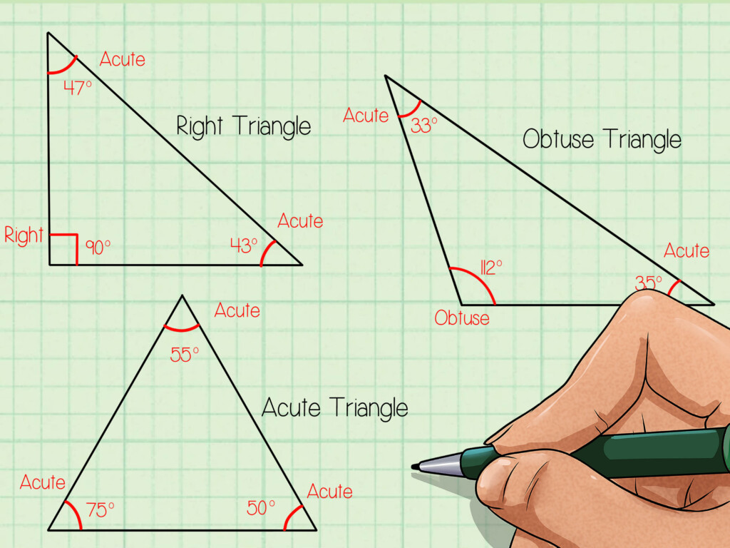 Jak Rozli ovat Druhy Troj heln k 9 Krok s Obr zky WikiHow