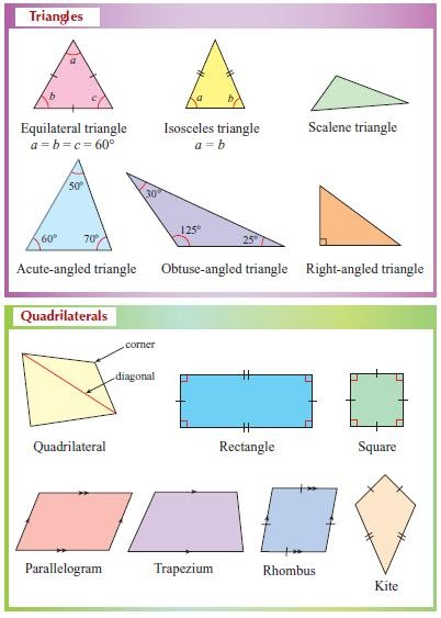 MISS DHIRA POLYGONS TRIANGLES AND QUADRILATERALS