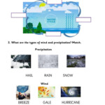 Pdf Online Worksheet Water Cycle In 2021 Water Cycle 5th Grade