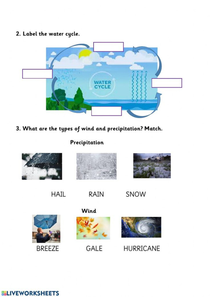 Pdf Online Worksheet Water Cycle In 2021 Water Cycle 5th Grade 