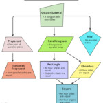 Quadrilateral Hierarchy