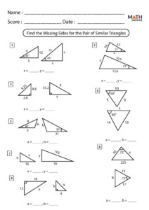 Right Triangle Trigonometry Worksheets - TraingleWorksheets.com