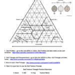 THE SOIL TEXTURAL TRIANGLE