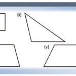 Worksheet On Polygons Types Of The Triangles Draw The Shapes