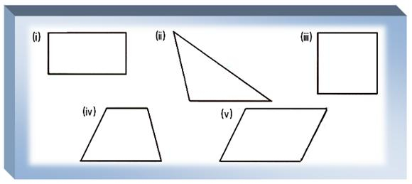 Worksheet On Polygons Types Of The Triangles Draw The Shapes