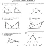 Congruent Triangles Worksheets Triangle Congruence Interactive Worksheet